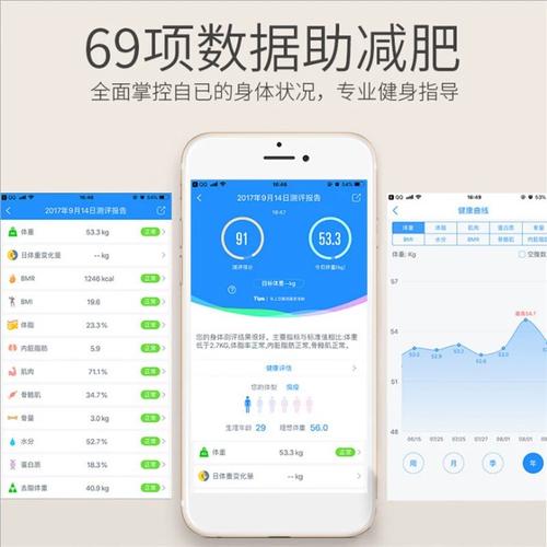 Stacklands特色内容是什么