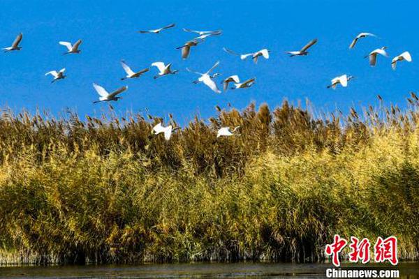  迷走深空碎舰师切割器怎么用
