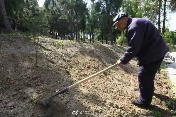 最后指令（LastCommand）需要什么配置