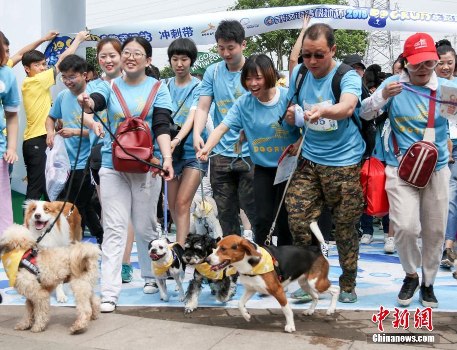 药剂工艺炼金术士模拟器刷人气有什么技巧