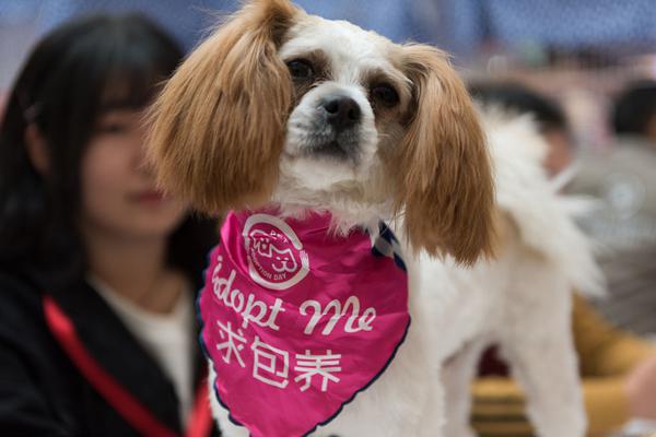 循环勇者无脑通关有什么套路