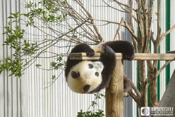 最终幻想7重制版PC版有什么新东西