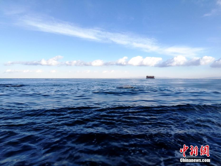 三国群英传8专属怎么获得 